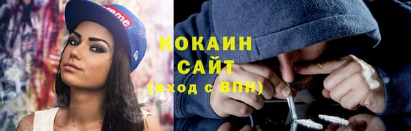 прущие грибы Абдулино