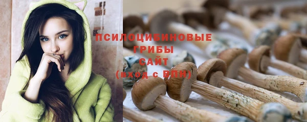 spice Абаза