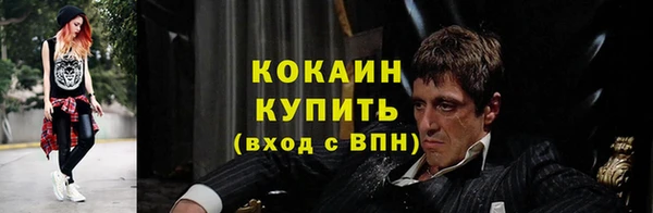 хмурый Алексин