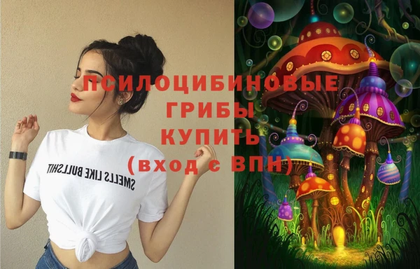 spice Абаза
