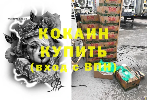 прущие грибы Абдулино