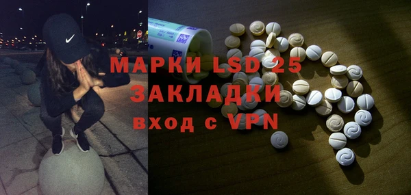 PSILOCYBIN Сатка