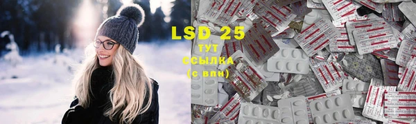 прущие грибы Абдулино