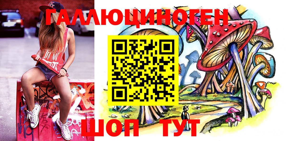 Псилоцибиновые грибы Magic Shrooms  Вход с VPN  Псилоцибиновые грибы Cubensis  магазин продажи   Камышлов 