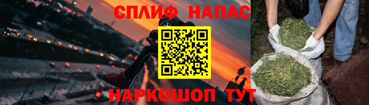 Канабис планчик Камышлов